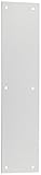 National Hardware V1981 3-1/2 X 15 Push Plate in Satin Nickel [並行輸入品]