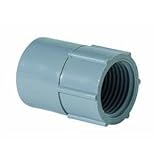 Thomas & BettsE942DRCTNFemale Adapter-1/2" FEMALE ADAPTER (並行輸入品)
