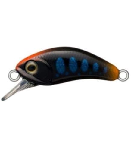 Amazon.co.jp: D-3 custom lures(D-3カスタムルアーズ) ブラキストン