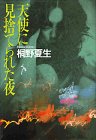 桐野夏生:天使に見捨てられた夜
