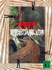 暗闇坂の人喰いの木