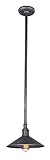 Troy Lighting Toledo 11"W 1-Light Outdoor Pendant - Old Silver Finish [並行輸入品]