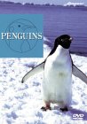 PENGUINS