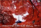Virtual Trip ���s�̍g�t (�g�[���T�C�Y���j���[�A��)