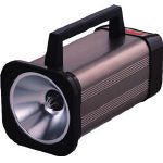 日本電産シンポ (SHIMPO) デジタルストロボスコープ DT-315N