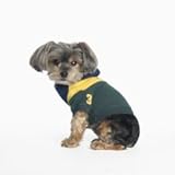 RALPH LAUREN (ラルフローレン) DOGS（ドック） タスキパーカー (L)