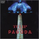 8�E11 �p�S�_-�C���E���m��-