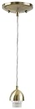 Westinghouse Lighting 7028700 Single-Light Mini-Pendant Kit with Antique Brass Finish [並行輸入品]
