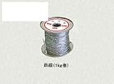 国内調達品:封印ワイヤー 鉄線(1kg巻) 型式:封印ワイヤー 鉄線(1kg巻)-単線