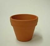 小品盆栽 仕立鉢 ドイツ製 3ｃｍ 1号　10枚  硬質素焼き鉢