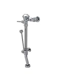 Zurn Z6000-BWN1-YB-YC 3.5 Gallon Exposed Valve w/BWNF/34-3/8" Roughin'YB' [並行輸入品]