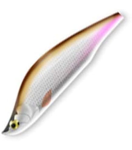 イトウクラフト ボウイ50 Bowie50 5点size=50mm 4,0g 6ed8b0ce2d96c61e158f5affc2a10e