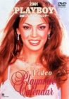 プレイボーイ 2001 プレイメイト・ビデオ・カレンダー [DVD]