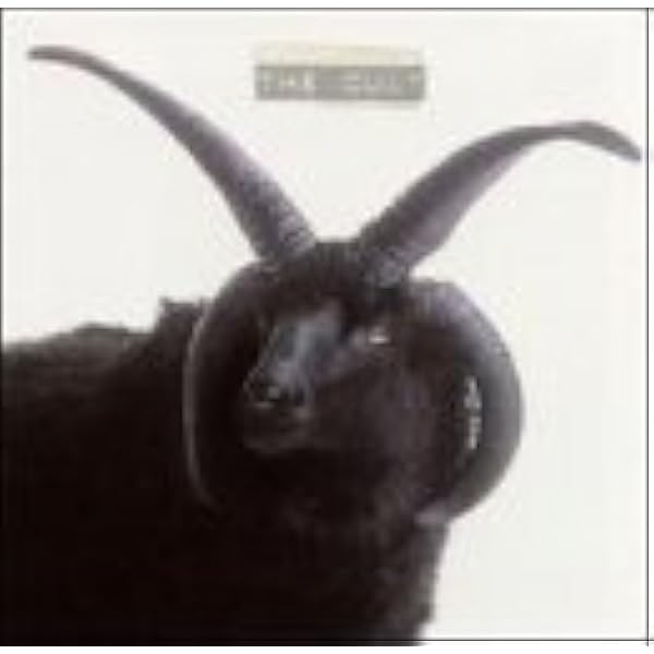 Amazon.co.jp: チョイス・オブ・ウェポン: Music 