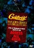 MAX BODY GROOVE-GOLDBRICK LIVE 2005-