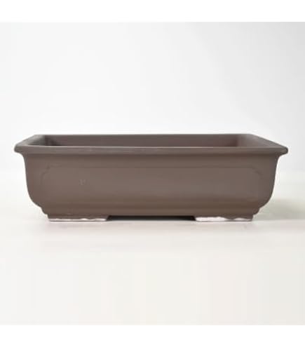 Amazon | 【盆栽鉢】 時代鉢 松泉焼 山秋造 紫泥角入長方（左右36.5cm