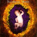 �T���x�[�V����