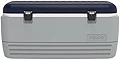 イグルー(Igloo) クーラーボックス MAXCOLD 120 約114L マックスコールド グレー  レジャー 釣り