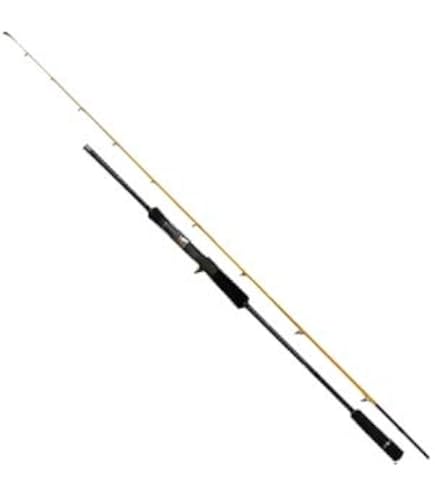 Amazon | イザナギ 夕雅 622ULS | Dストリーム | ジギングロッド