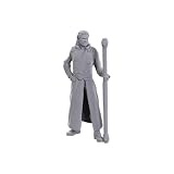 WizKids D&D Nolzur's Marvelous Miniatures:スペシャルエディション バルダーズゲート3(ゲイル&アスタリオン)