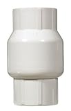King Brothers Inc. KC-2000-T 2-Inch Threaded PVC Schedule 40 Spring Check Vale, Gray by King Brother