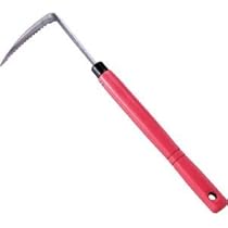 こんこん様　ありがとうございます！ 楽天市場】いつもありがとうございます シール（40枚入）40×40mm