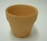 素焼き鉢2.0号　大穴　10枚　植木鉢　鉢　蘭　らん　ラン 観葉植物　園芸