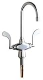 Chicago Faucets 50-317XKAB Commercial Grade Single Hole Kitchen Faucet with Wris, Chrome [並行輸入品]