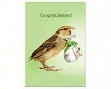 tree-free Greetings tfg14406方法Tweet新しい赤ちゃん