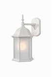 Acclaim 5189TW/FR Craftsman Collection 1-Light Wall Mount Outdoor Light Fixture, Textured White [並行輸
