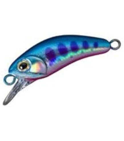 Amazon.co.jp: D-3 custom lures(D-3カスタムルアーズ) ブラキストン