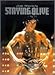 �X�e�C���E�A���C�u&nbsp;[DVD]