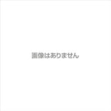 新光電子 CSP-160II用 ロール紙 1セット (20巻)