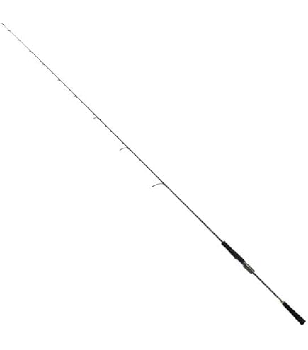 Amazon | ダイワ(DAIWA) ジギングロッド SALTIGA(ソルティガ) SLJ EX
