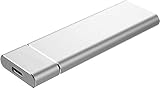 超高速外付けSSD、ポータブルモバイルソリッドステートドライブ、コンピューター、携帯電話に最適 (Silver,6TB)