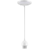 Westinghouse Lighting 7028600 Single-Light Mini-Pendant Kit with White Finish by Westinghouse [並行輸入品