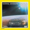 �����̃��Y��