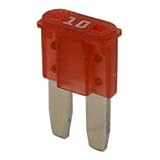 25 AmpクリアATRヒューズ – ( Pack of 10 )