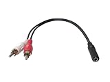 RCA ステレオ 赤白ピン 変換ケーブル 3.5mm ステレオミニプラグ(メス) (全長25cm) [並行輸入品]