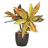 My Special Beige Keepsake Box Baby Gift with Multiple Drawers By Haysom Interiors by Haysom Interior