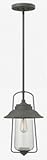 Hinkley 2862OZ Outdoor Belden Place Light [並行輸入品]