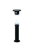 高儀 Verde Garden LED ハイブリッド式 ガーデンソーラーセンサーライト 600mm GLT-150HB