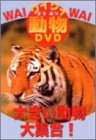 ���C���C����DVD �傫��������W��!