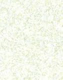 【クトク】Ｐプリント ジェード（抽象柄） （P-22） 12枚入り