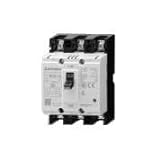 三菱電機 NF30-CS 2P 3A WW