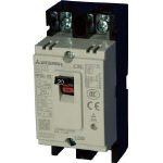 三菱電機 ノーヒューズ遮断器 NF-Cシリーズ(経済品) NF30-CS2P20AWW (438-5888)