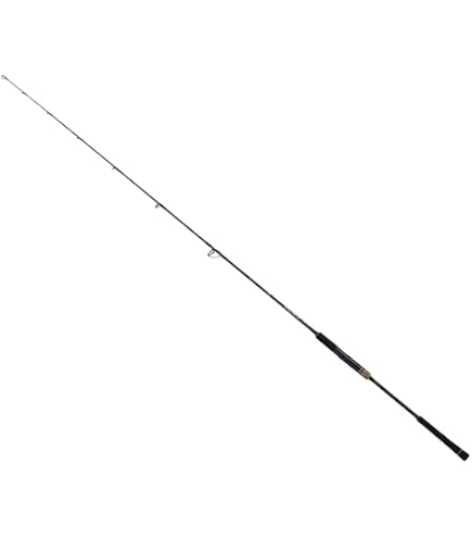 Amazon | ダイワ(DAIWA) ジギングロッド キャタリナ BJ・Y 62XHB・Y