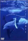 WHALE DANCE