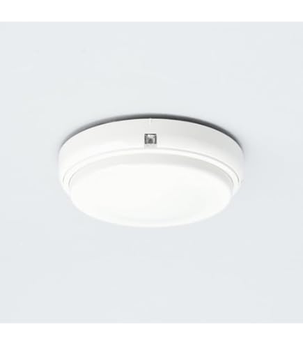 Amazon.co.jp: 能美防災 定温式スポット型感知器 特種防水 FDLJ906-DW