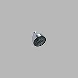 Delta Faucet RP28599 Push-Clean TM Showerhead, Chrome [並行輸入品]